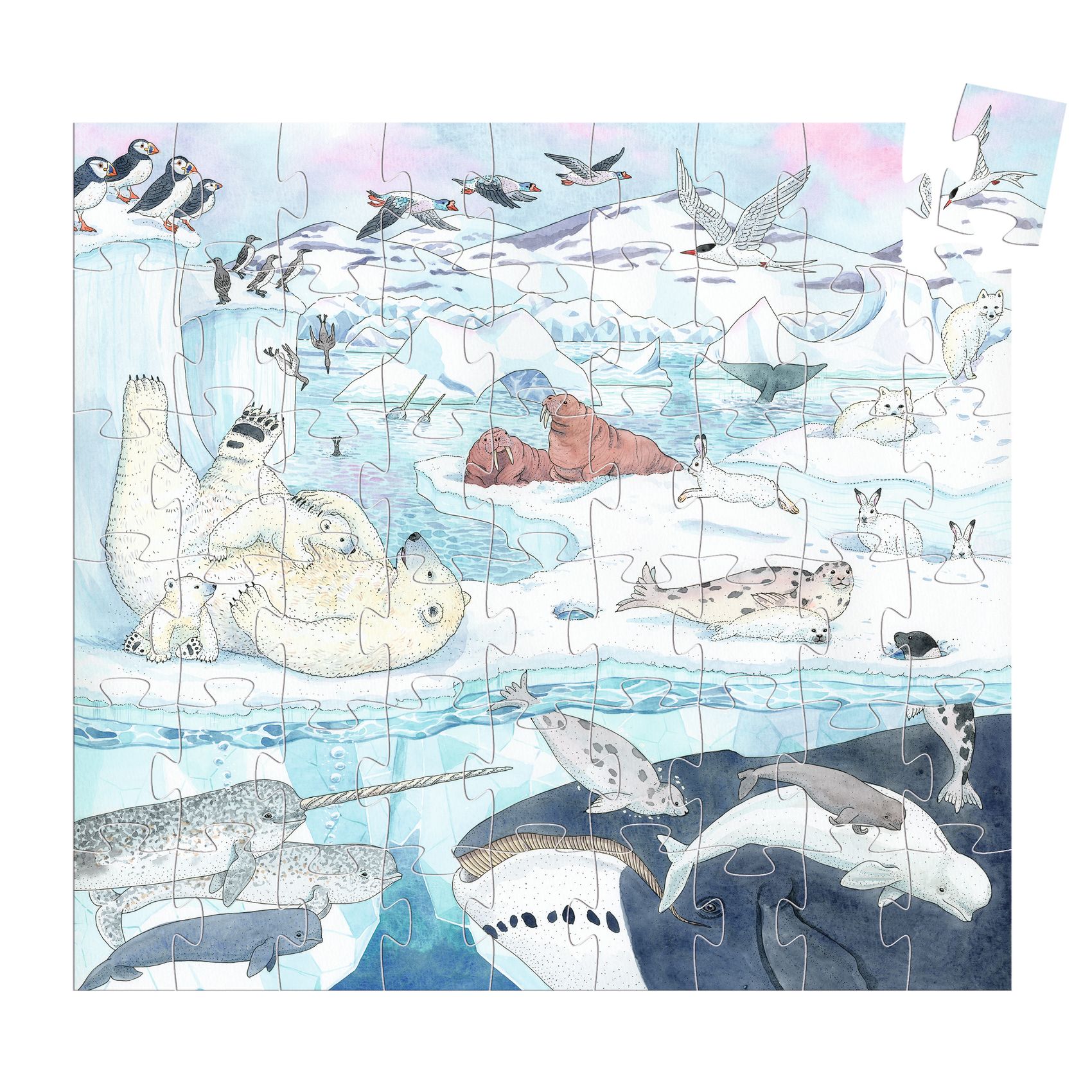 Formadobozos puzzle - Élet a sarkvidéken, 54 db-os - Polar softness - 3