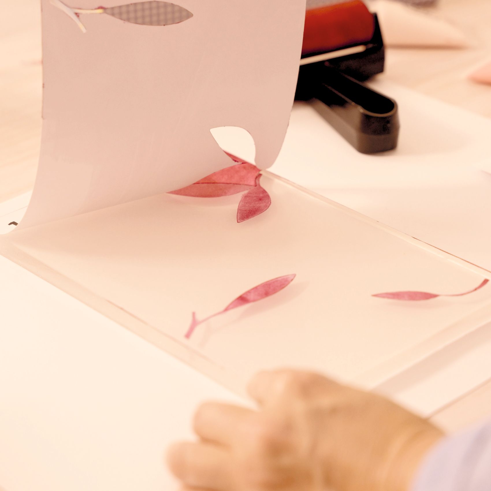 Műterem 46 - Gélnyomtatás, Színtár - Atelier 46, Gel Printing - 7