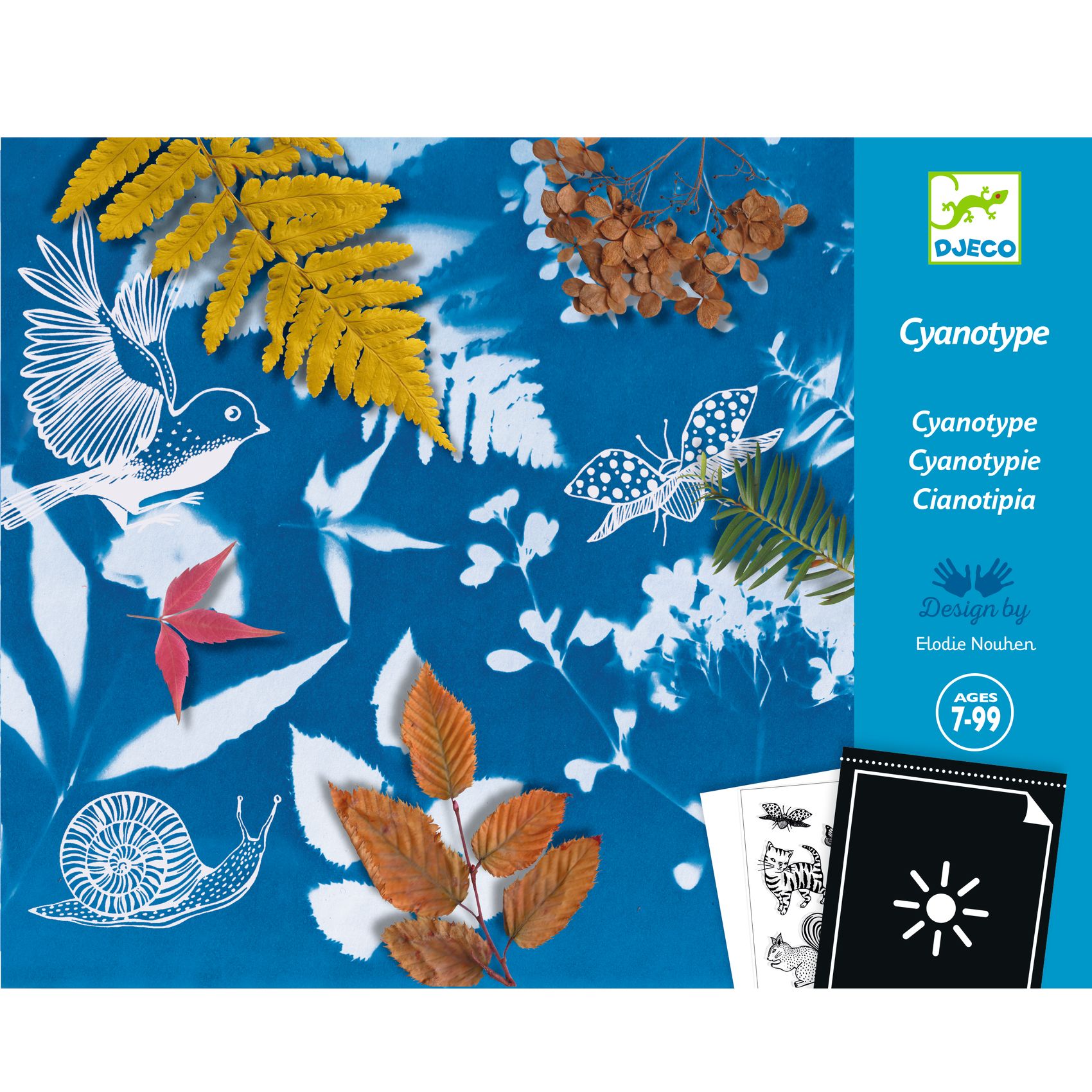 Művészeti műhely - Napnyomat kezdő készlet - Cyanotype Starter Kit - 3