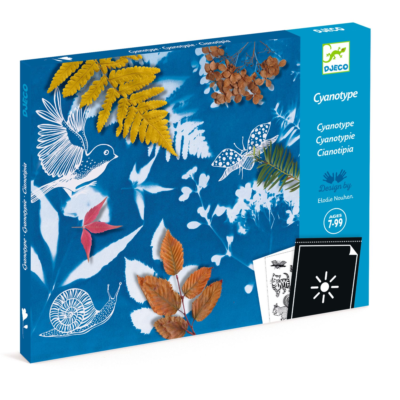 Művészeti műhely - Napnyomat kezdő készlet - Cyanotype Starter Kit - 0