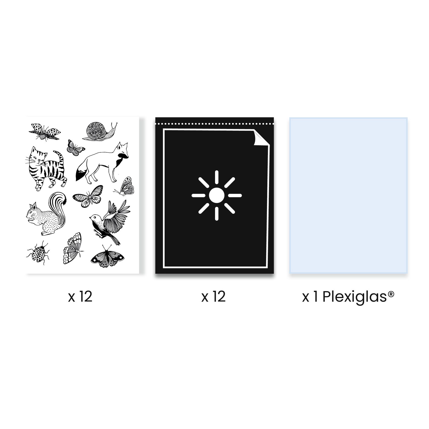 Művészeti műhely - Napnyomat kezdő készlet - Cyanotype Starter Kit - 1
