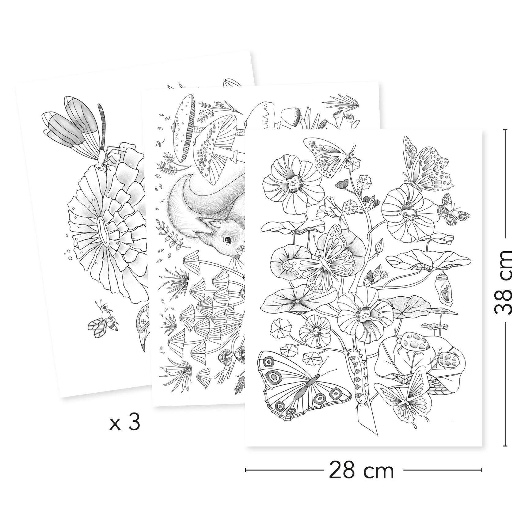 Művészeti műhely - Természetes színezők mappa - Naturalist - 2