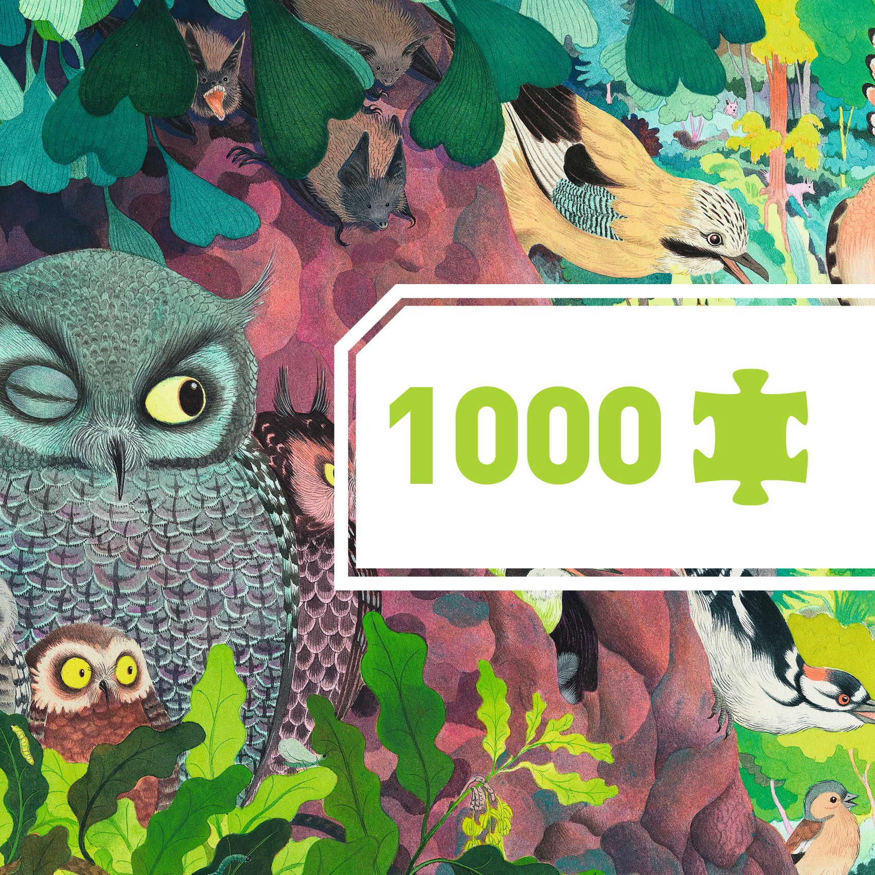 Művész puzzle - Baglyok és madarak, 1000 db-os - Owls and birds - 1